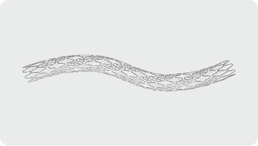 Percutaneous Coronary Intervention Purple Microport